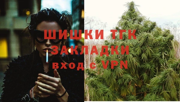 дмт Зеленодольск