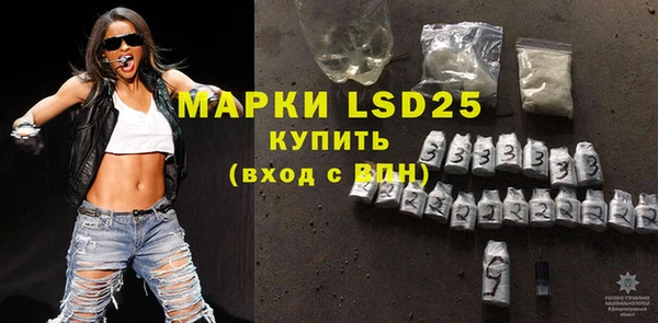 ПСИЛОЦИБИНОВЫЕ ГРИБЫ Няндома