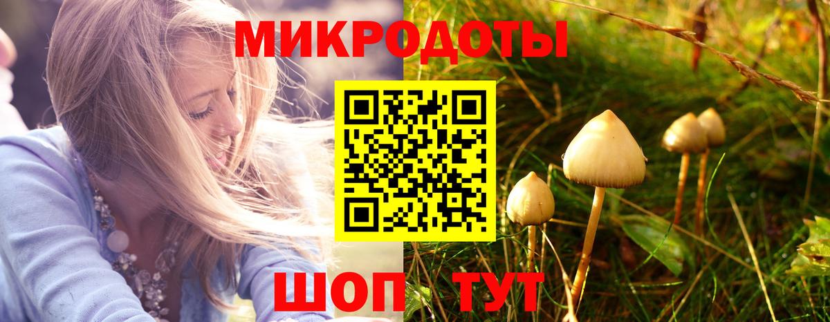 где можно купить наркотик  Вход с VPN  Вязьма  Псилоцибиновые грибы прущие грибы  Псилоцибиновые грибы Cubensis 